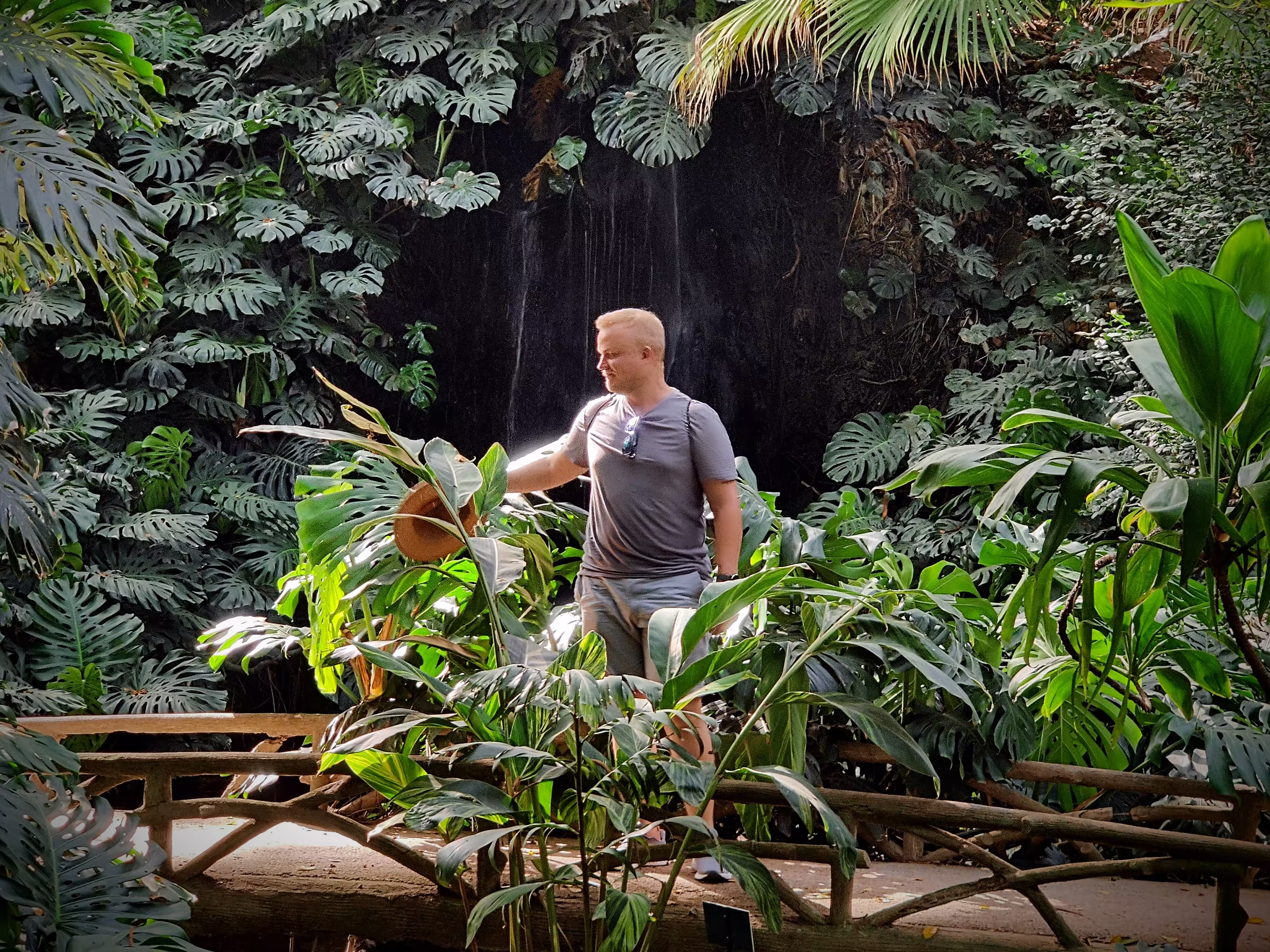 Plants